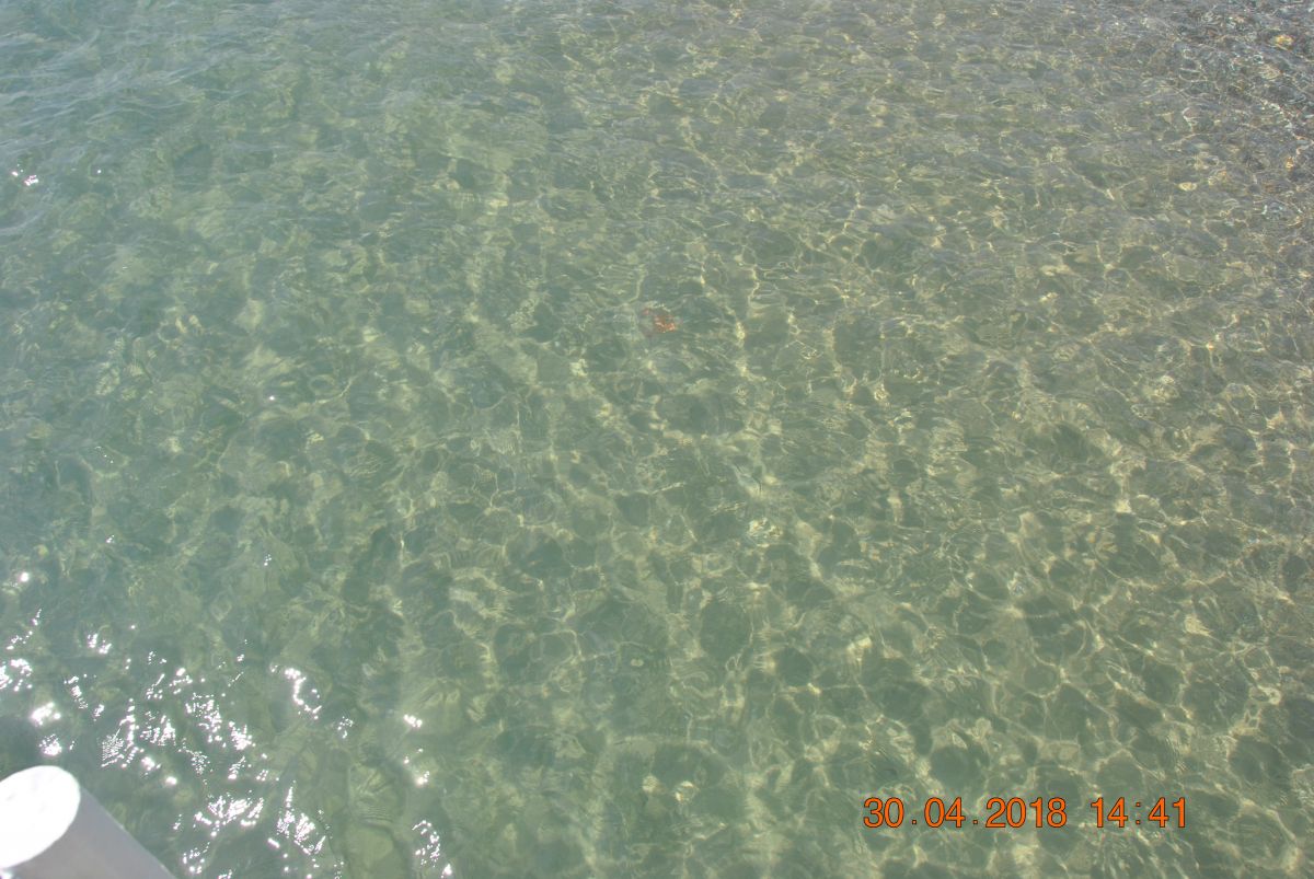 imagini hotel ARCANUS RESORT